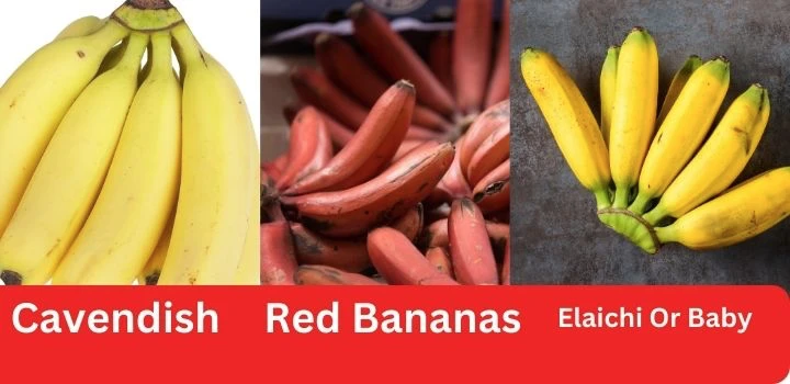 types of Banana and calories