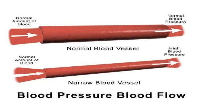 blood pressure flow