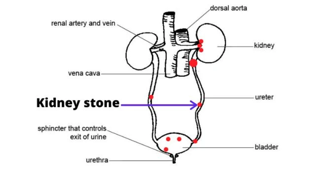 location of stones