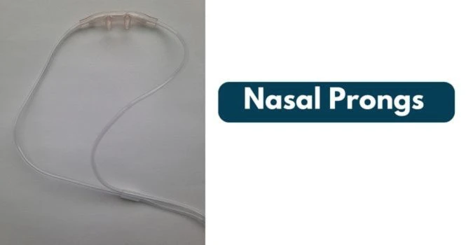 nasal prongs