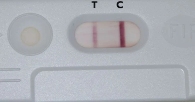 Faint line in pregnancy Test