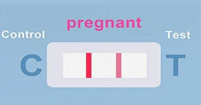 pregnant test strip