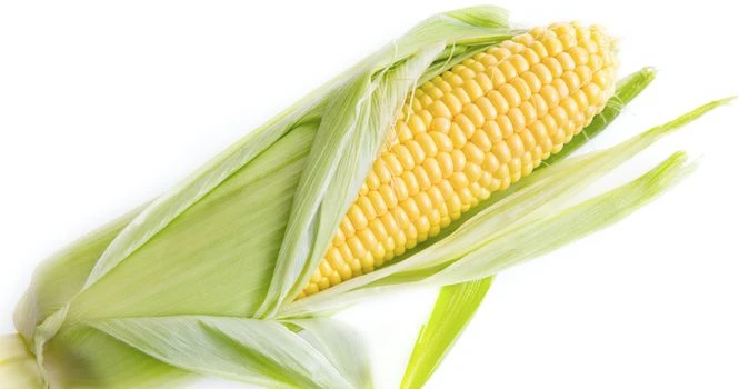 is corn good for diabetes