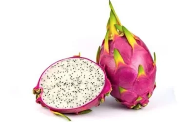 Dragon Fruit : An Exotic Delight