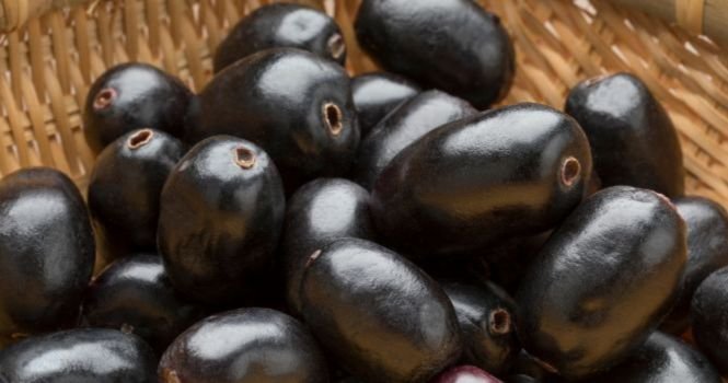 jamun fruit