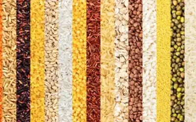 A Comprehensive Guide to Millets Types and Their Benefits