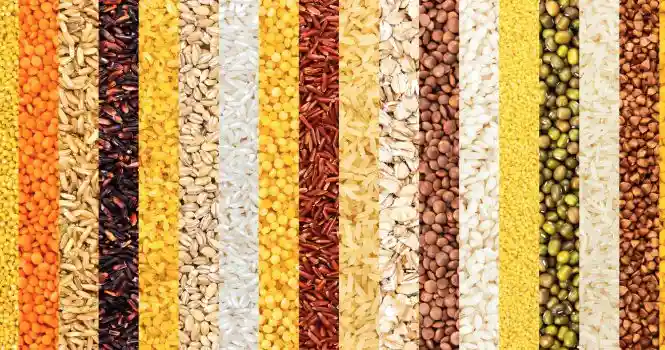 different types of Millets