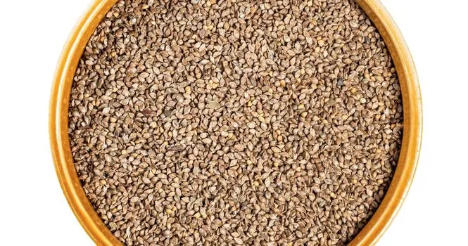 Japanese Millet