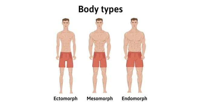 men's body types
