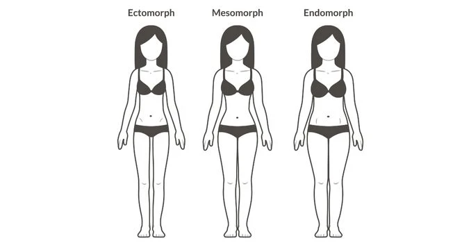 Women's body types