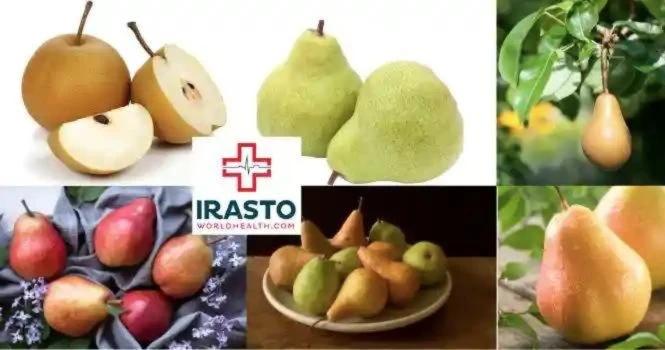 different types of pears in the world