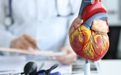 Heart Surgeries in India: A Comprehensive Guide to Procedures, Risks, and Recovery