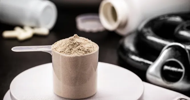 how much protein in 1 scoop of whey protein