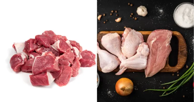 difference between red meat and white meat