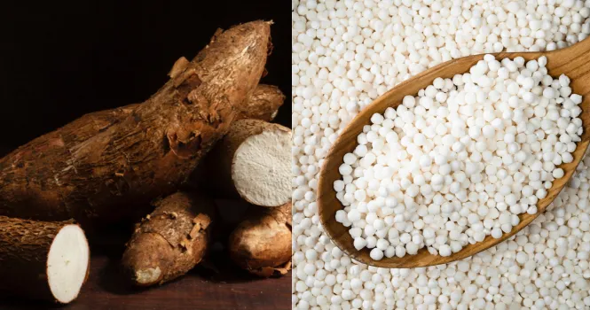 is sabudana good for diabetes