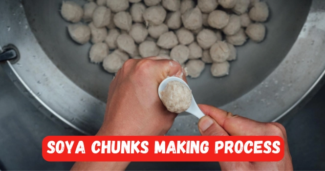 soya chunks making process
